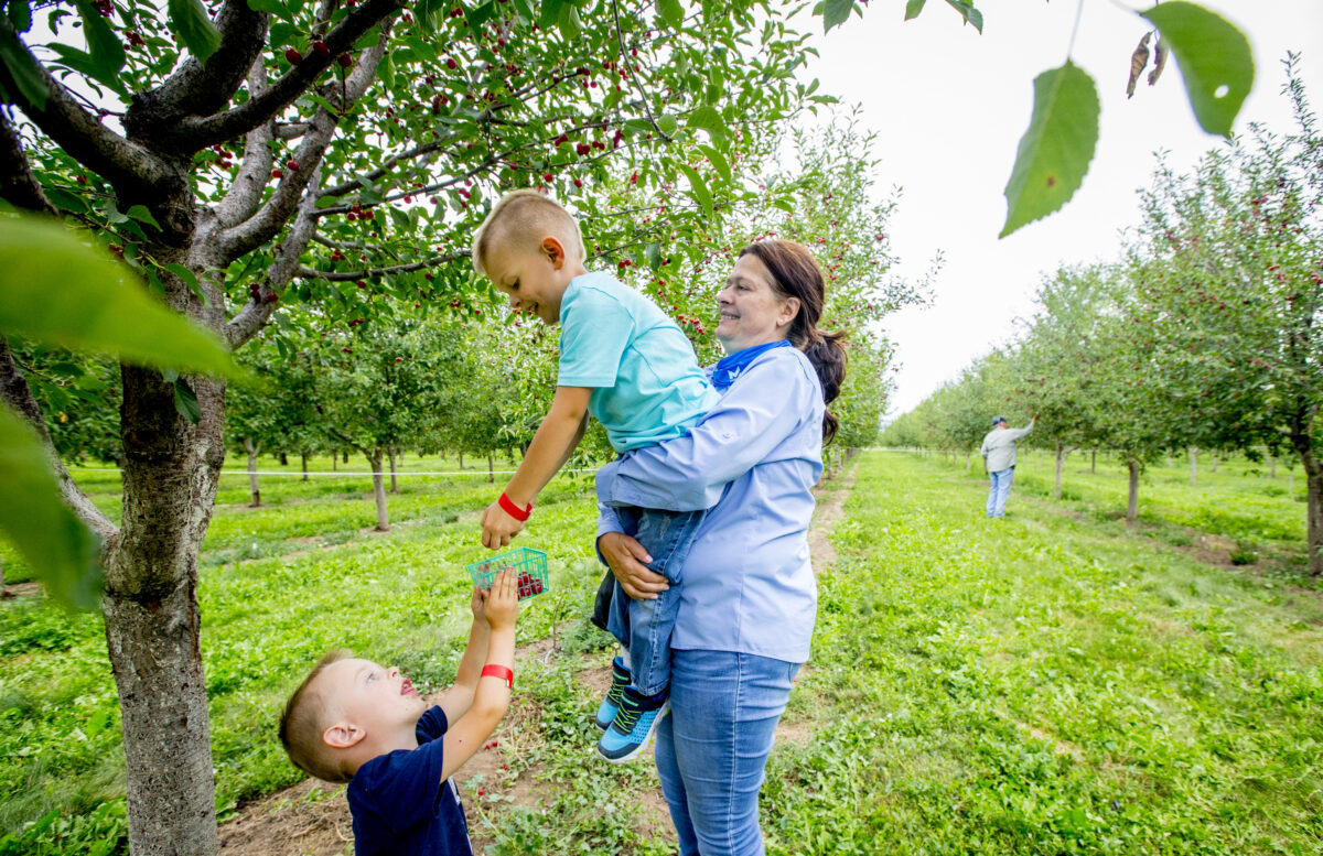 Santaquin asks Utah, Juab counties to adjust boundary to promote ‘agritourism’ News, Sports